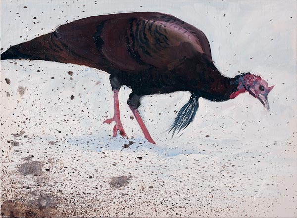 painting of a wild turkey