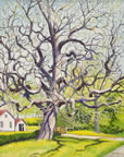 painting of a catalpa tree with no leaves