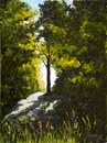 painting of a tree covered hillside with a small gap letting light through