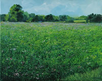painting of a field of alfalfa